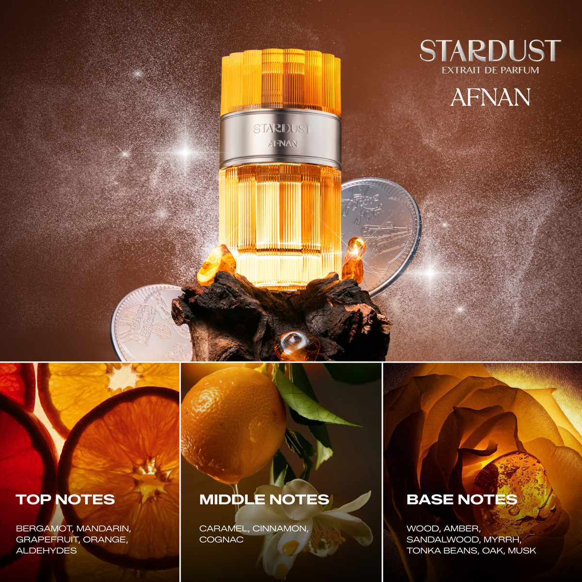 Stardust