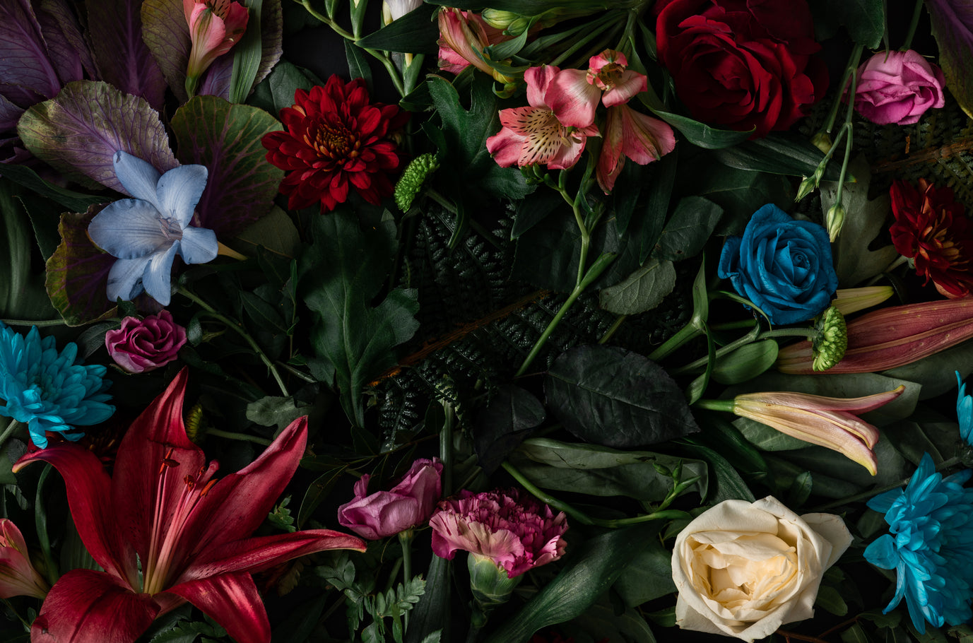 The Renaissance of Floral - Afnan Perfumes UAE